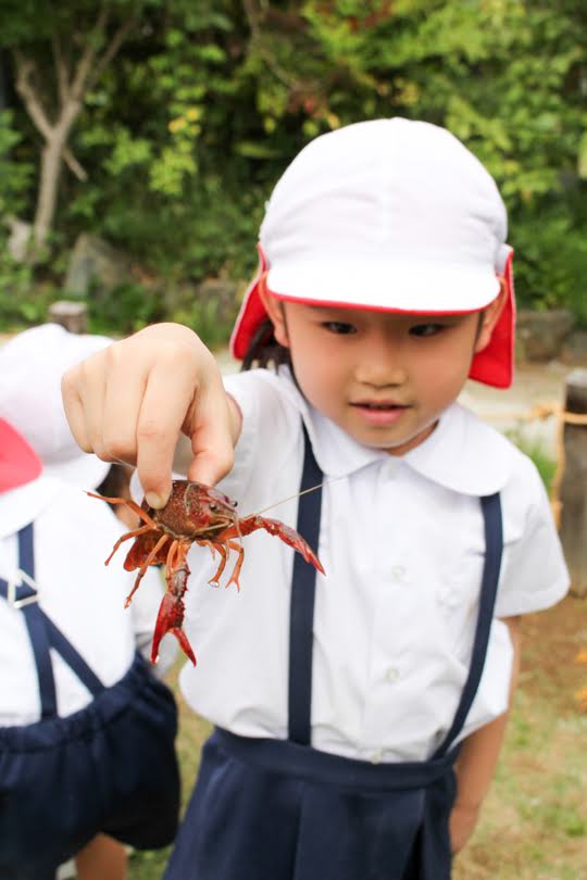 発見と挑戦がいっぱいの自然環境